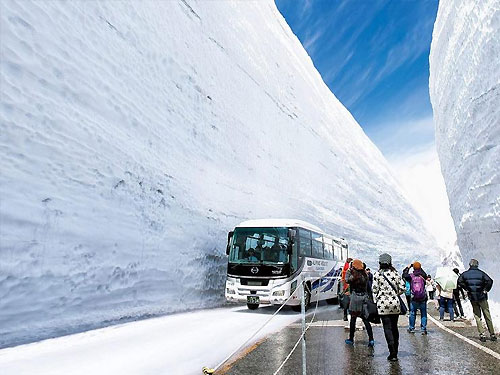 япония снежная дорога