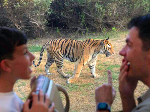фото с сайта dubaisafari.ae