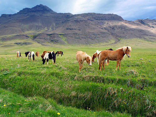 туры в исландию из спб